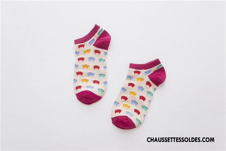 Chaussette Basse Femme Le Nouveau Style Chaud 100% Coton Chaussette Basse Coupée Coloré
