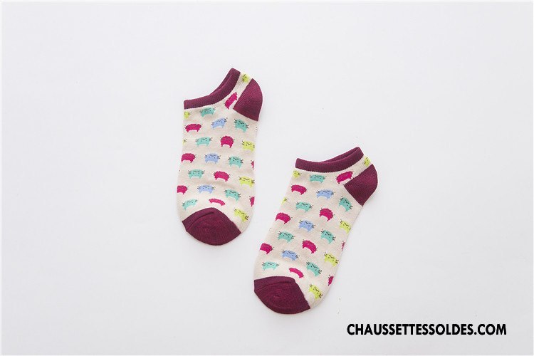 Chaussette Basse Femme Le Nouveau Style Chaud 100% Coton Chaussette Basse Coupée Coloré
