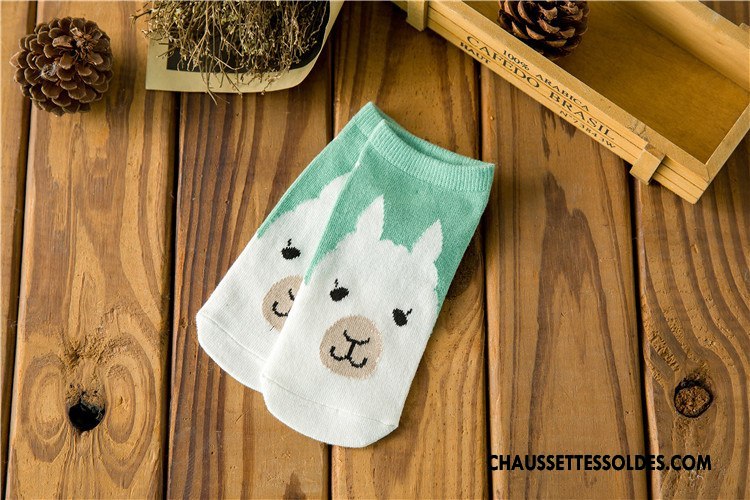 Chaussette Basse Femme Été Ours Charmant Chaussette Basse Coupée Chaussette Courte Le Nouveau Vert Clair