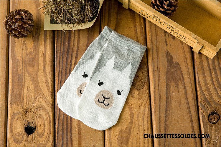 Chaussette Basse Femme Été Ours Charmant Chaussette Basse Coupée Chaussette Courte Le Nouveau Vert Clair