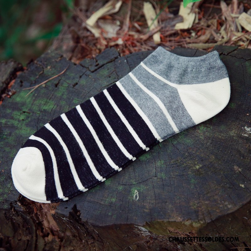Chaussette Basse Homme Chaussette Basse Coupée Été Printemps 100% Coton Coton Bio Style Chaud Noir Clair