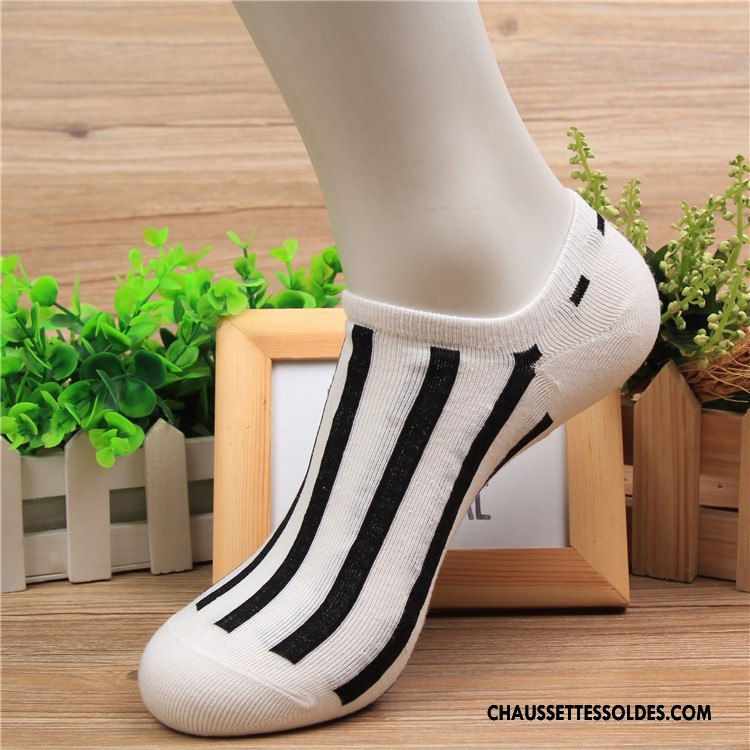 Chaussette Basse Homme Le Nouveau Chaussette Basse Coupée Matelassé Printemps Mode Été Coloré