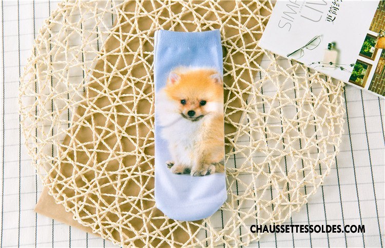 Chaussettes Courtes Femme Chaussette Basse Coupée Animal Printemps Rétro Dimensionnel Impression