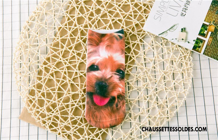 Chaussettes Courtes Femme Chaussette Basse Coupée Animal Printemps Rétro Dimensionnel Impression