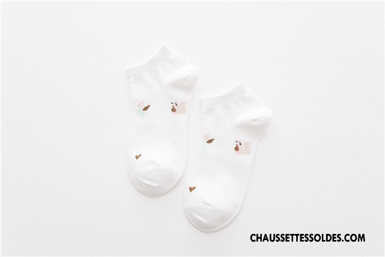 Chaussettes Courtes Femme Le Nouveau Plante Coton Style Chaud Frais Chaussette Basse Coupée Bleu Clair