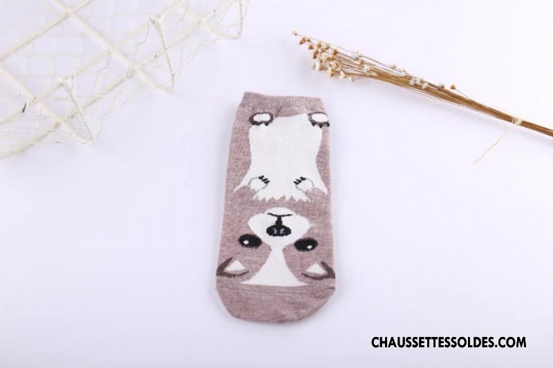 Chaussettes Courtes Femme Tous Les Assortis Campus 100% Coton Printemps Charmant Nouveau Gris