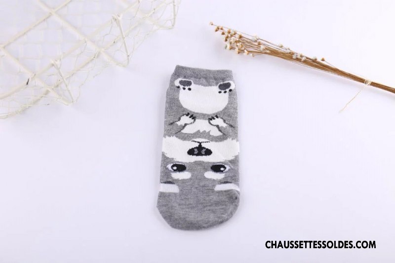 Chaussettes Courtes Femme Tous Les Assortis Campus 100% Coton Printemps Charmant Nouveau Gris