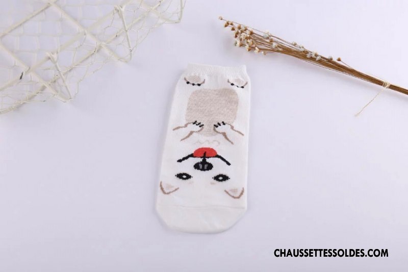 Chaussettes Courtes Femme Tous Les Assortis Campus 100% Coton Printemps Charmant Nouveau Gris