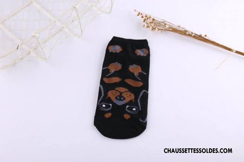 Chaussettes Courtes Femme Tous Les Assortis Campus 100% Coton Printemps Charmant Nouveau Gris