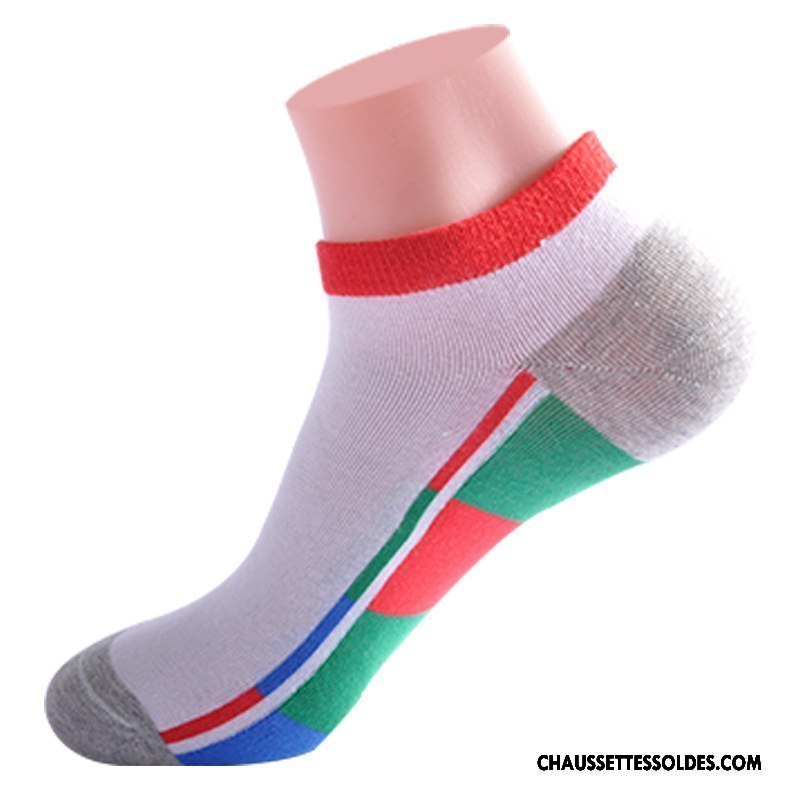Chaussettes Courtes Homme Été Oiseau Nouvelles Arrivées Chaussette Courte Printemps Chaussette Basse Coupée Couleurs Mixtes Coloré