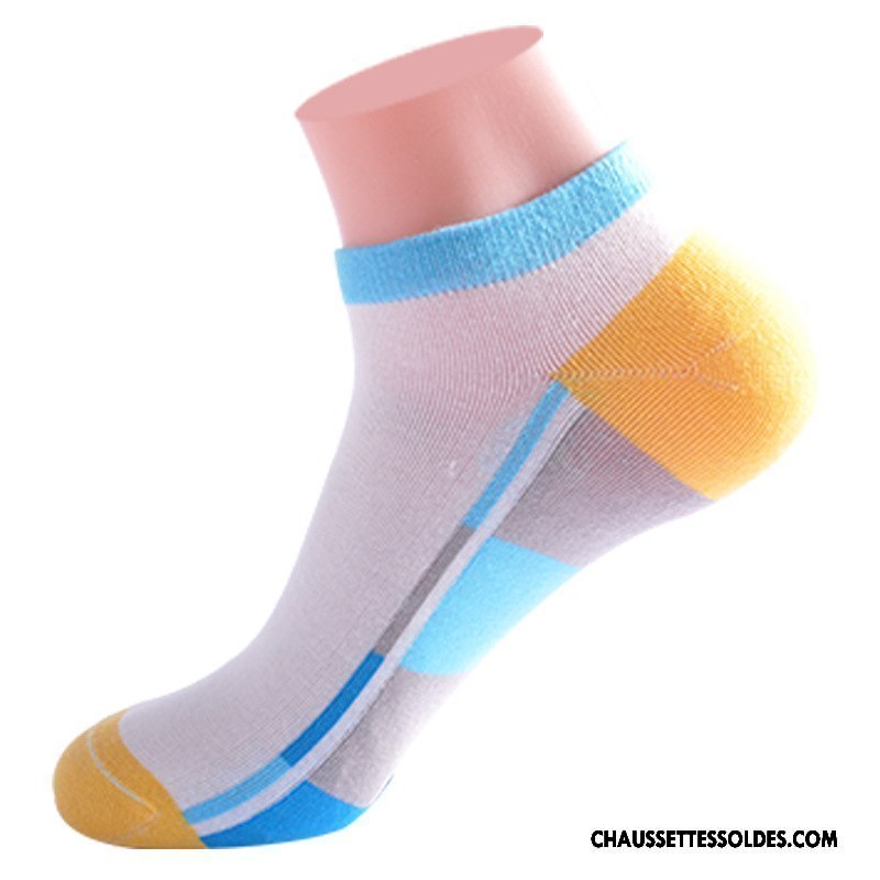 Chaussettes Courtes Homme Été Oiseau Nouvelles Arrivées Chaussette Courte Printemps Chaussette Basse Coupée Couleurs Mixtes Coloré
