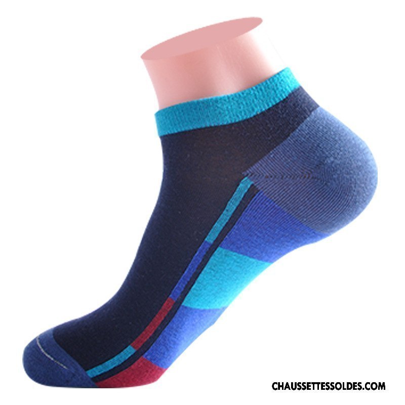 Chaussettes Courtes Homme Été Oiseau Nouvelles Arrivées Chaussette Courte Printemps Chaussette Basse Coupée Couleurs Mixtes Coloré