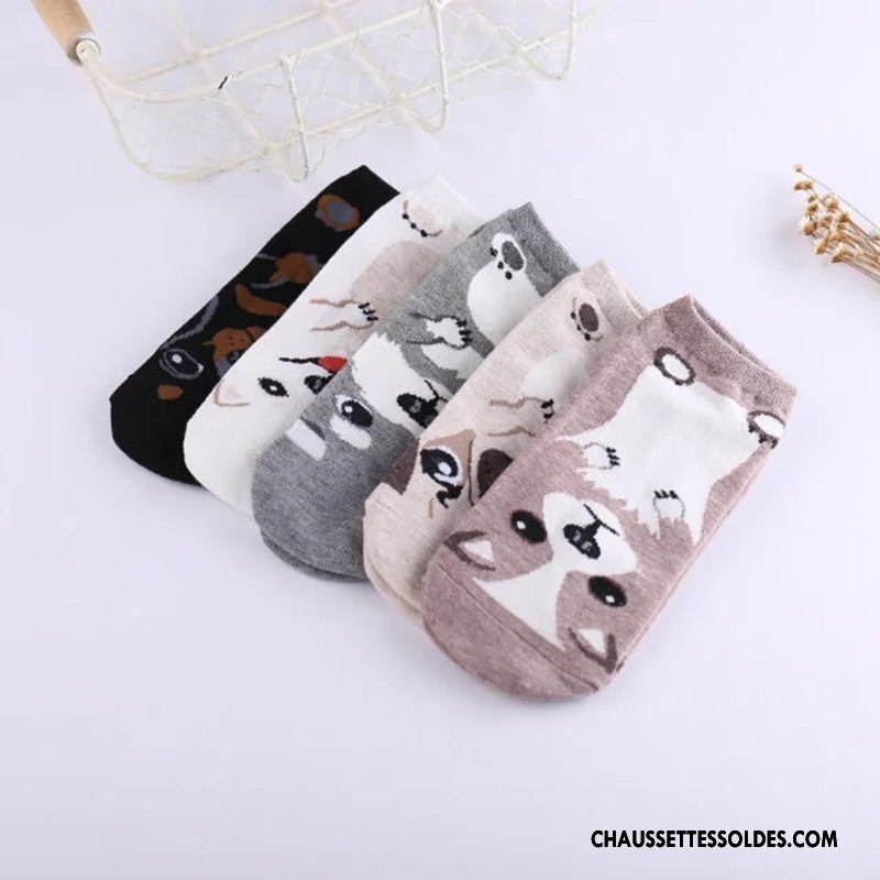 Chaussettes Courtes Femme Tous Les Assortis Campus 100% Coton Printemps Charmant Nouveau Gris